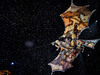 фільм Cirque du Soleil: Казковий світ в 3D