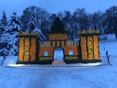 Цитрусовый фестиваль: в Киеве построили замки из апельсинов и лимонов