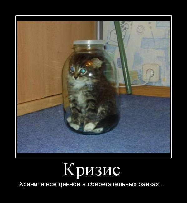 Демотиваторы про котов