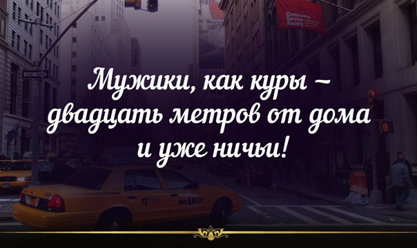 Катинки со смыслом