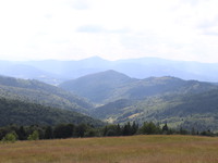 Карпати