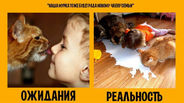 Дети. Ожидание и реальность