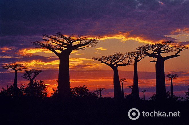 Мадагаскар