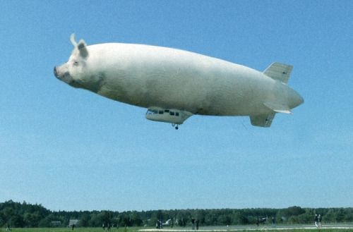 Как использовать животных