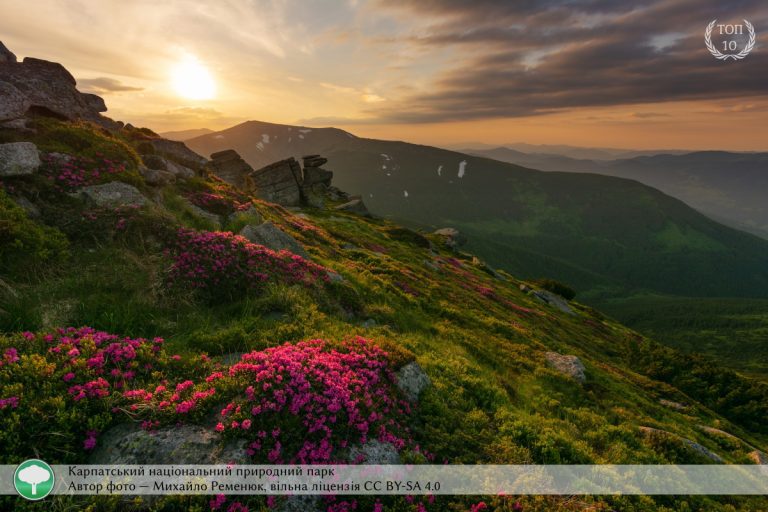 найкращі фото природи України
