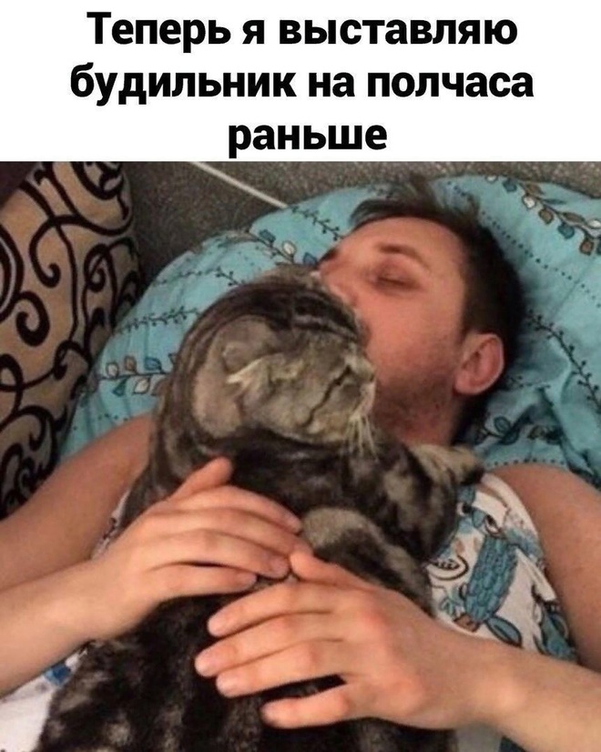 Котик и будильник