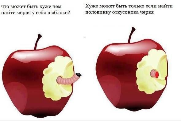 Картинка про яблоко