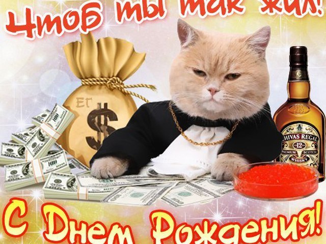 Приколы про, открытка с днем рождения мужчине чтоб ты так жил