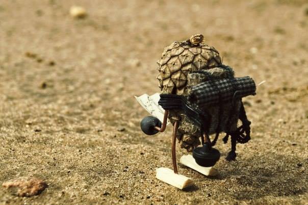 #ПутешествиеСосновойШишки часть 4