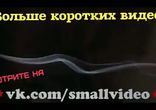 Выход на две