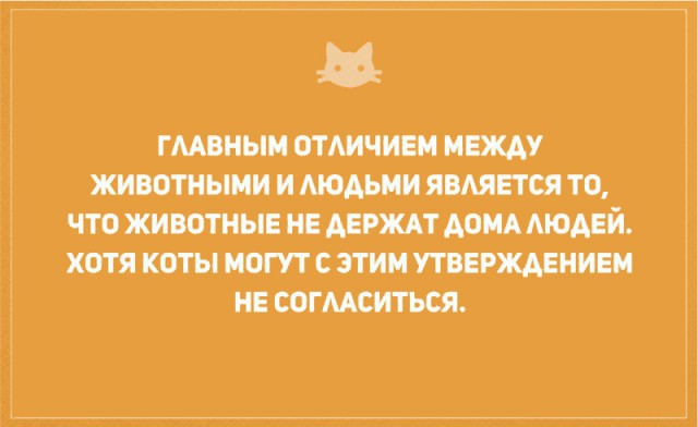 Без кота и жизнь не та