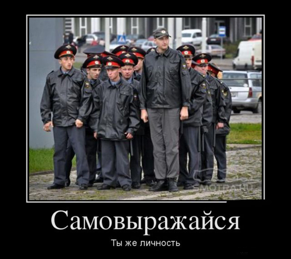 ТОП лучших демотиваторов