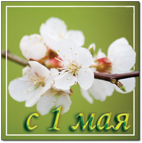 С 1 мая!