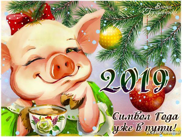 Милые открытки к Новому году свиньи