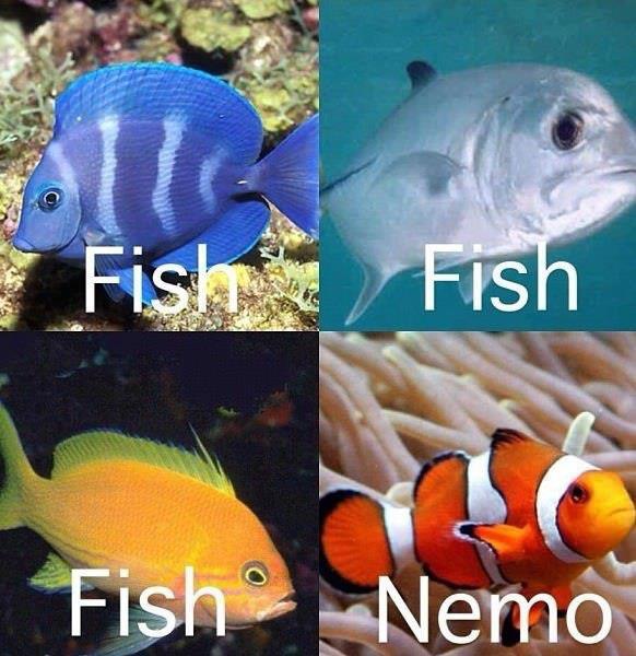 Все рыбы, как рыбы, а я - Немо