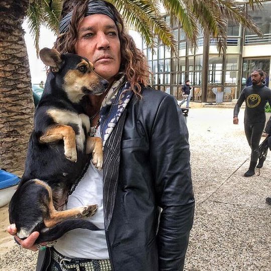 Антонио Бандерас