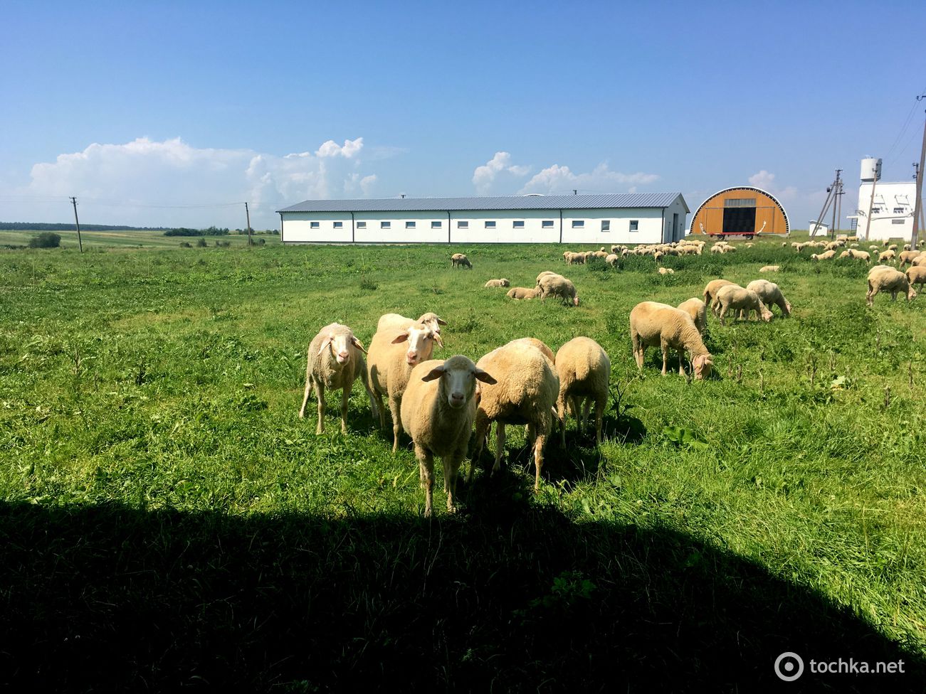 Фермерское хозяйство "Меринос-Захід"