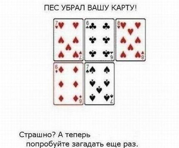 Иллюзия обмана "Угадай карту". Прикол
