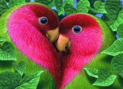 Очаровательные попугайчики