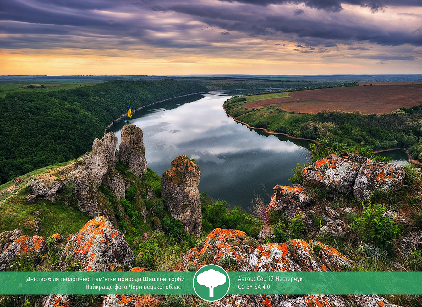 Вики любит Землю 2021