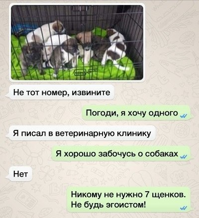 Забавные переписки или вы не туда попали