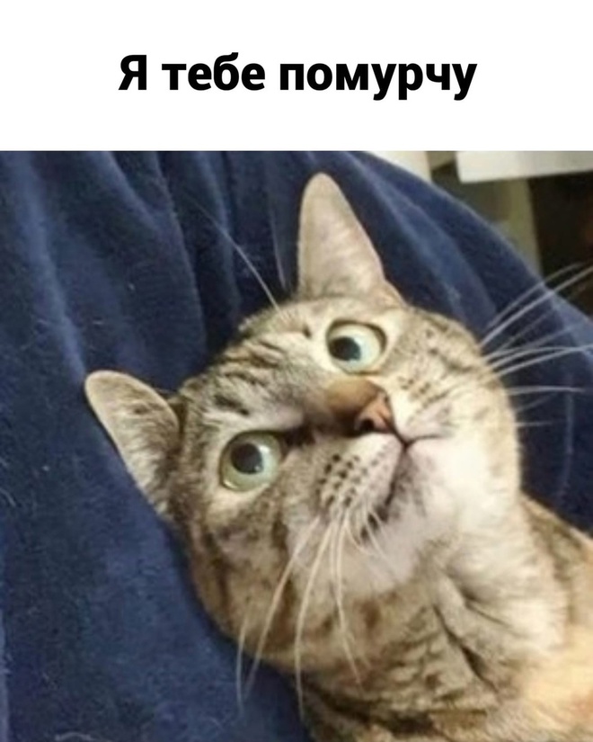 Планы на Новый год