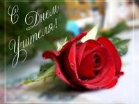 С днем учителя