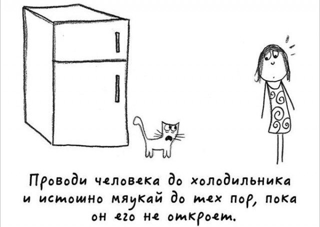 Прикольный комикс "Как быть котом"