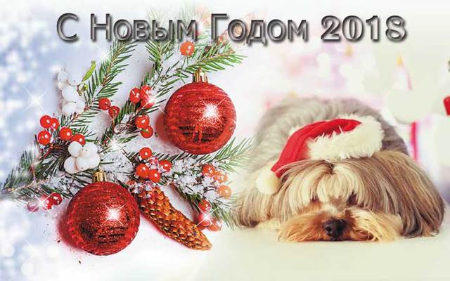 Мимишные открытки на год собаки 2018