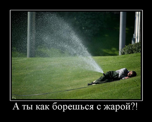 ТОП лучших демотиваторов про жару
