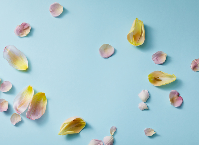 Фазы Луны в сентябре 2020: когда новолуние и полнолуние