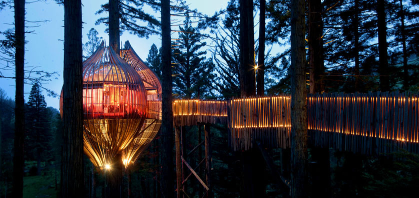 10 самых оригинальных ресторанов мира: Redwoods Treehouse. Окленд, Новая Зеландия