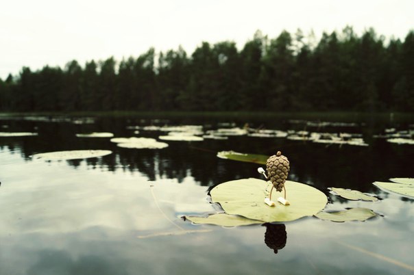 #ПутешествиеСосновойШишки часть 1