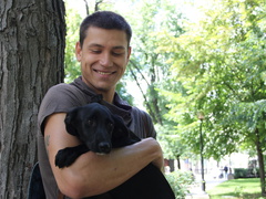 Собаки
