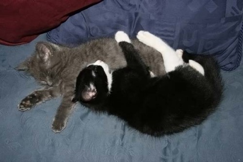 Работаю над стрессоустойчивостью