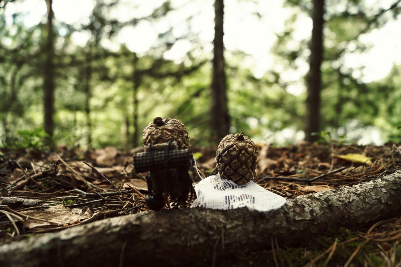 #ПутешествиеСосновойШишки часть 6