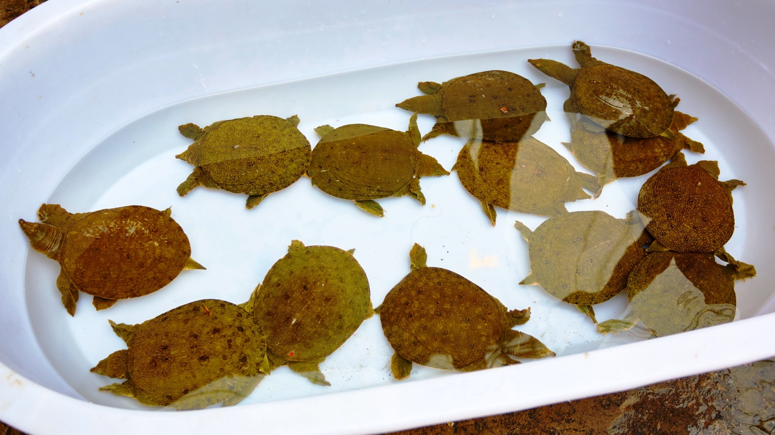 Інший Всесвіт очима популярного фотографа Андрія Саримсакова. Шанхай