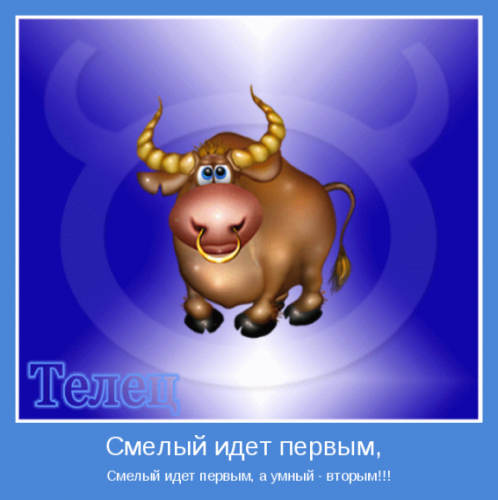 Характеристика знаков зодиака