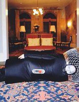 10 крутих костюмів на Хелловін від знаменитостей 10 крутих костюмів на Хелловін від знаменитостей