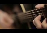 Passenger - Golden Leaves