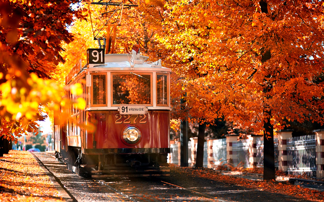 Осень и трамвай