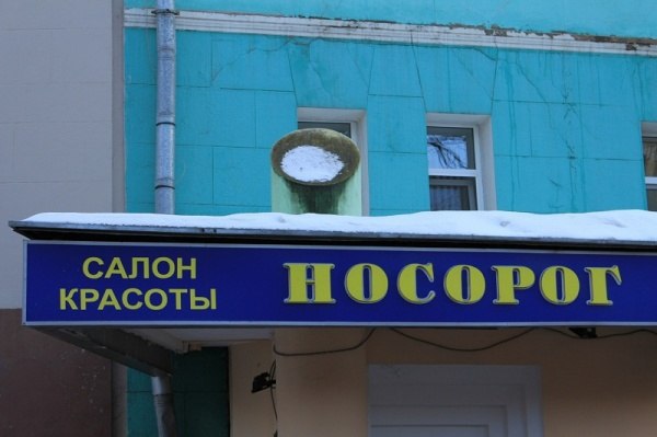 Маразмы месяца