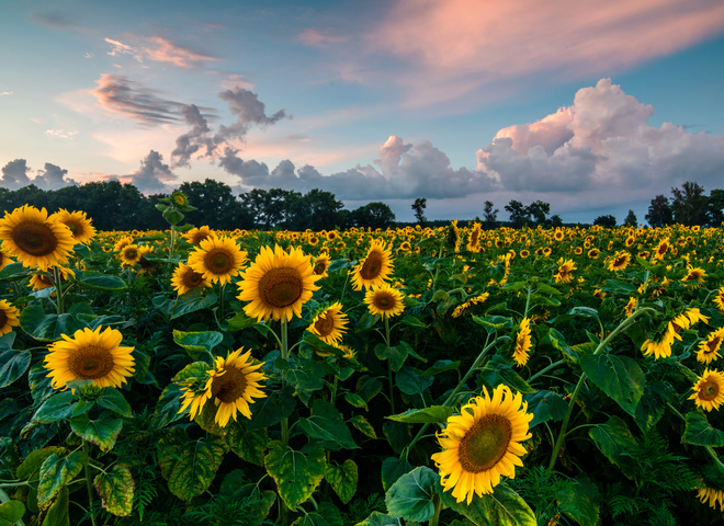 Прикмети 8 серпня 2020