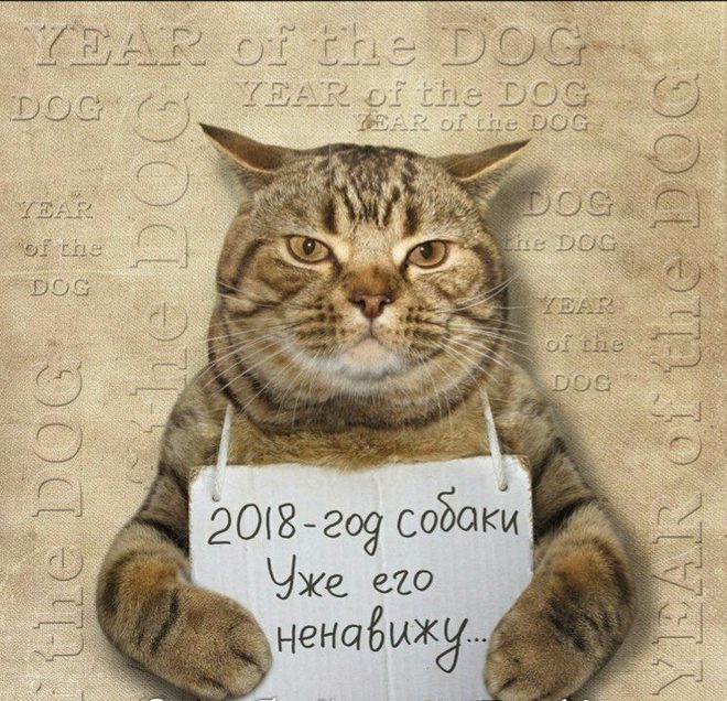 2018 - год собаки