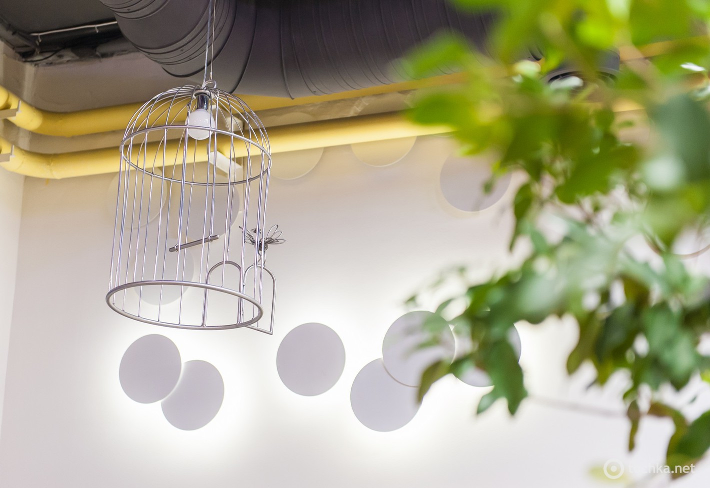 Счастье - новий ресторан Січкар