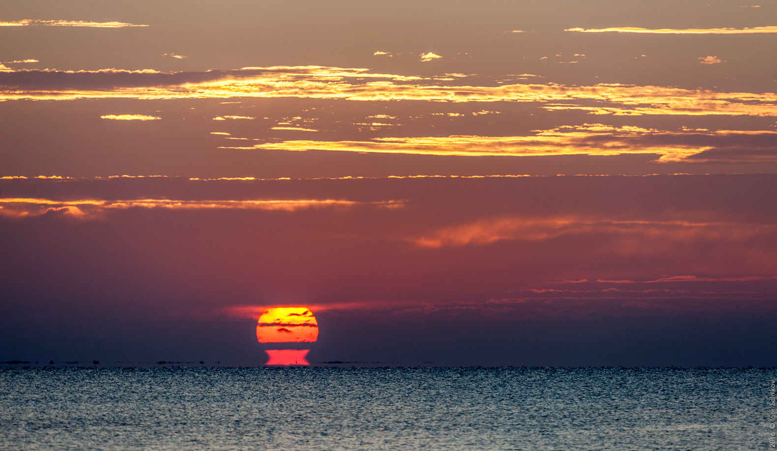 Египет, заповедник Махмея