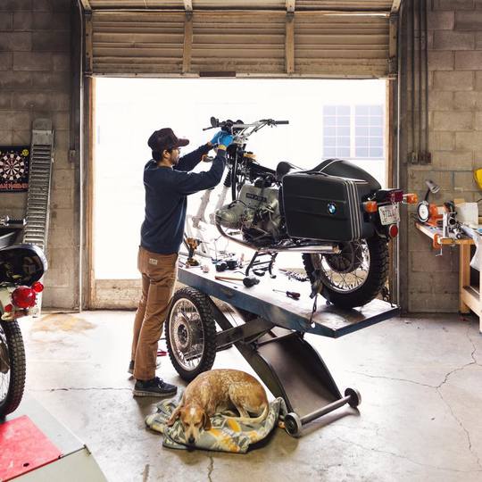 Невероятные приключения собаки-путешественницы Мэдди по Америке