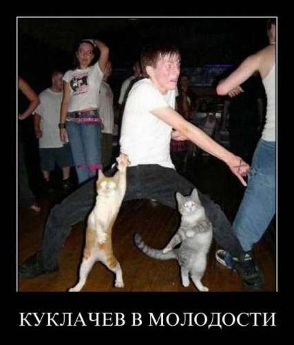 Демотиваторы с юмором