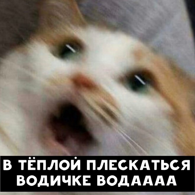 Песенка про лето