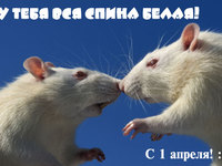 У тебя вся спина белая